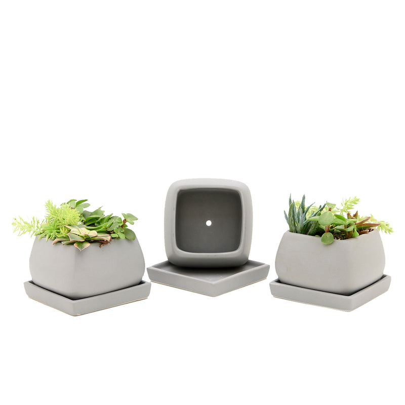 soft square ceramic planter set of 3 with saucer - matte grey