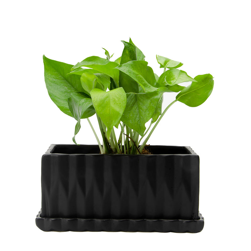 rectangular origami ceramic planter with saucer - matte black